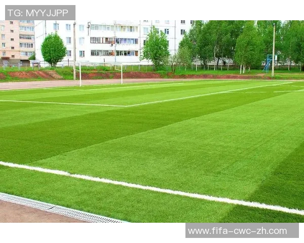 美国足球大联盟足球场的魅力与发展探讨及其对足球文化的影响